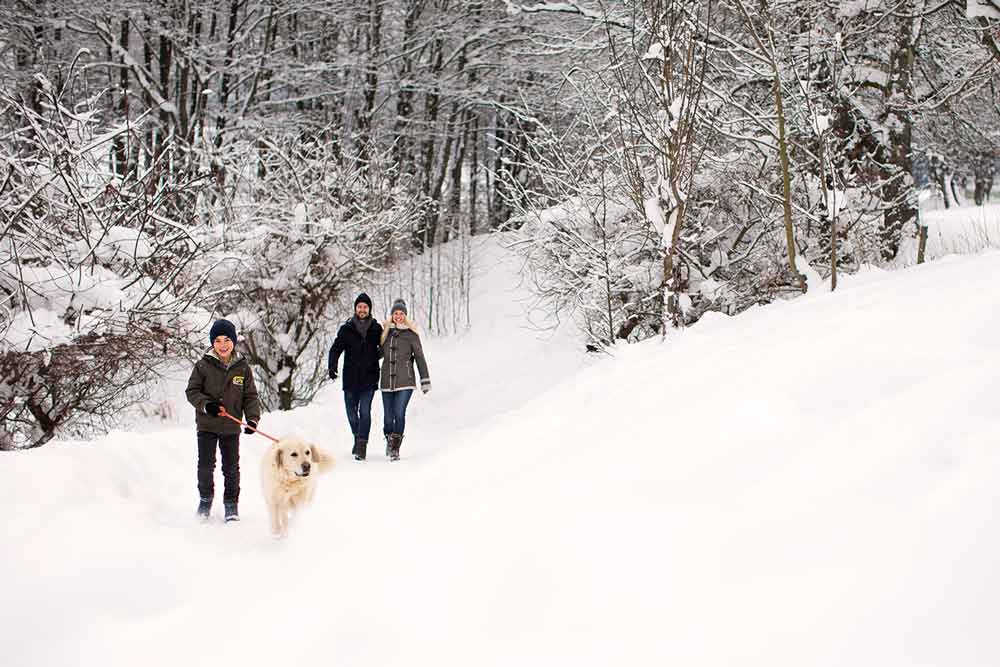 Winterwandern im Salzburger Land Winterwandern im Salzburger Land