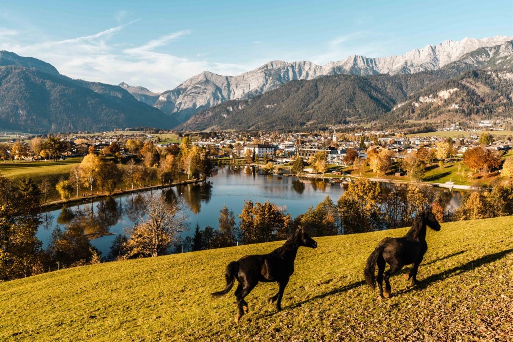 Herbst Ritzensee