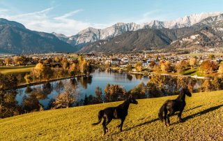 Herbst Ritzensee