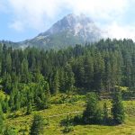 Nebelschwaden auf der Steinalpe