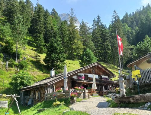 Kleine Wanderungen im Pinzgau – heute: Zur idyllischen Steinalm in Saalfelden