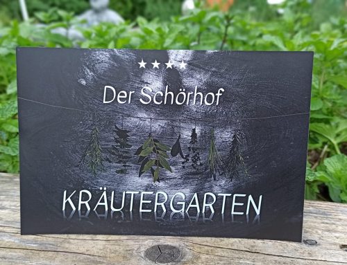Unser Kräutergarten